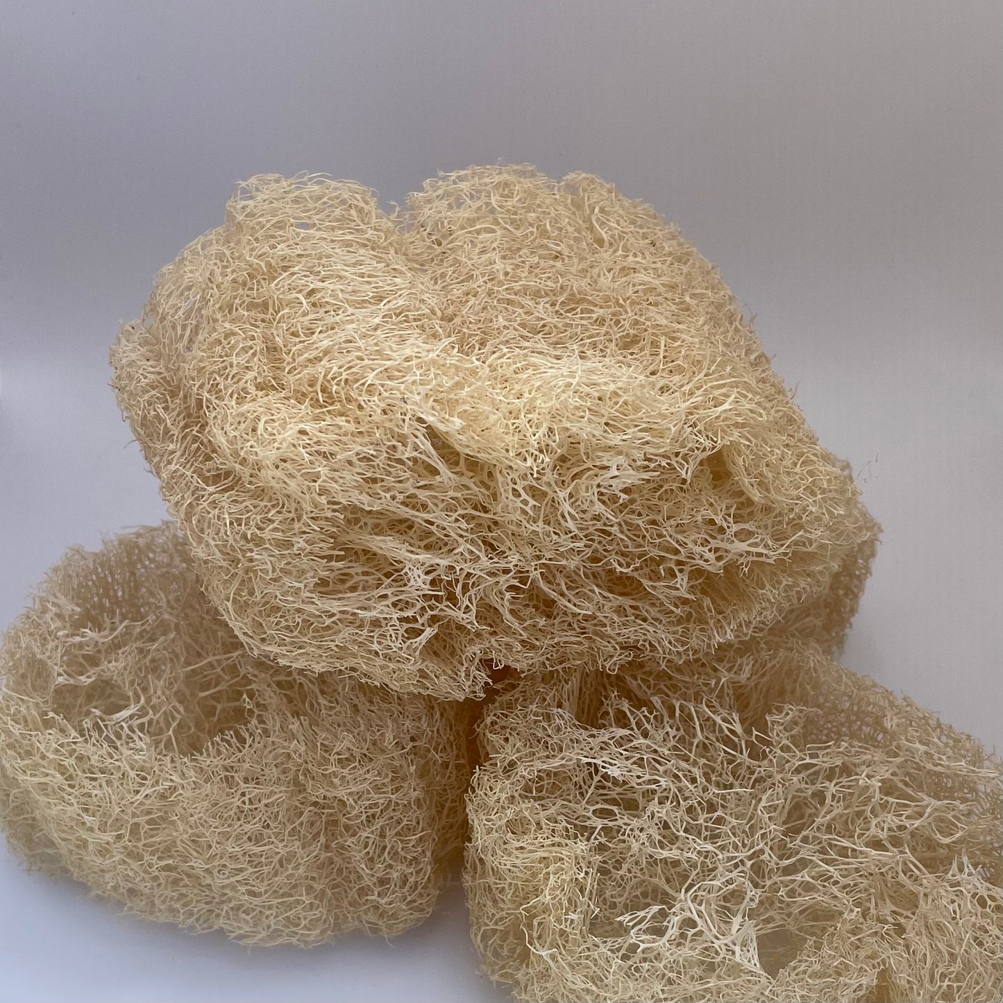 Eponge Loofah Naturelle